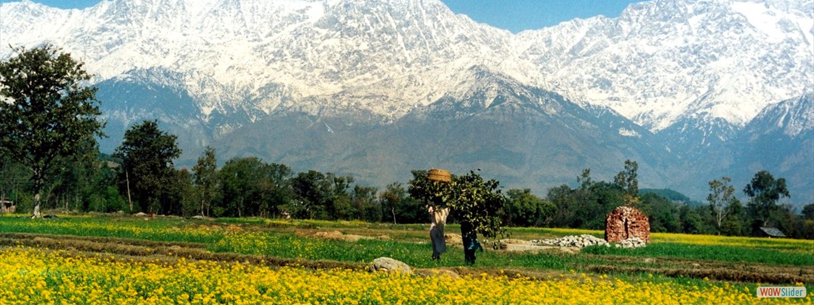 Kangra