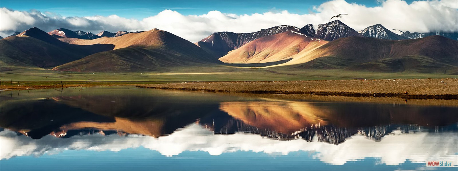 full screen slider