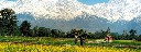 Kangra